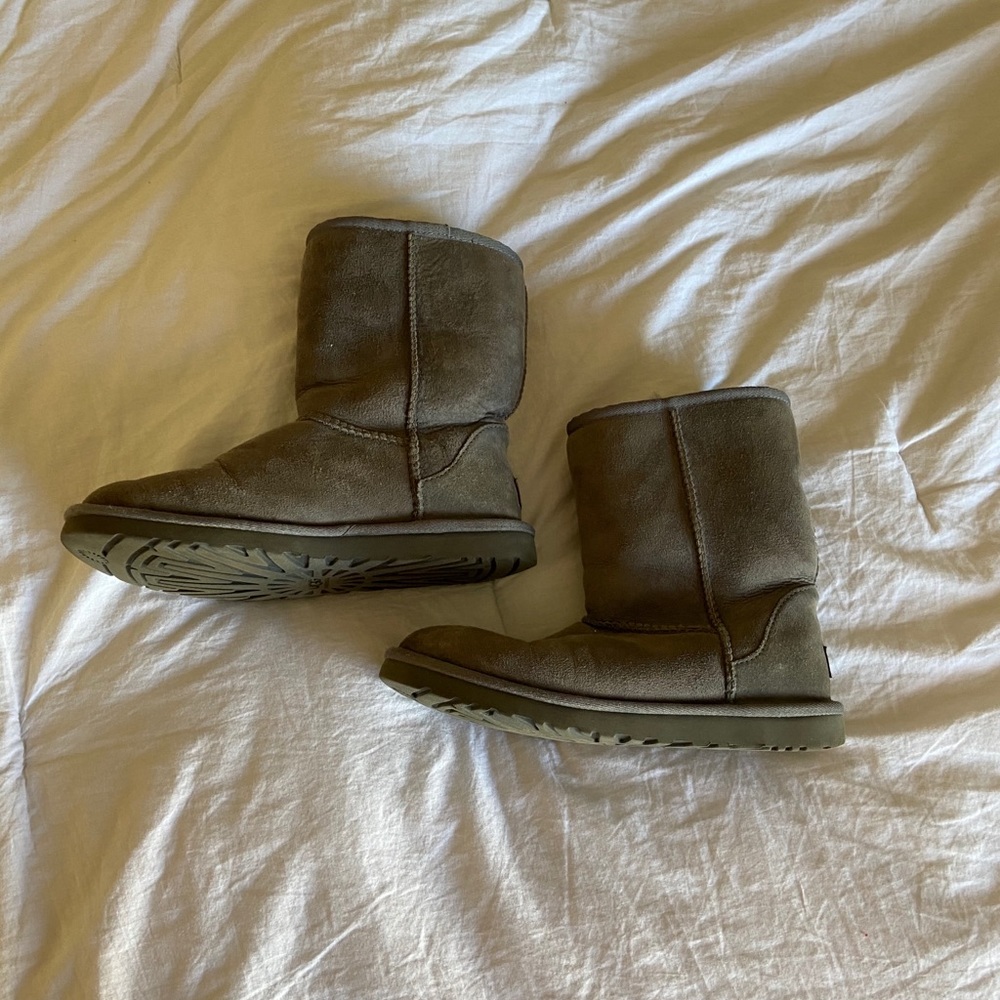 Gray Short Uggs - Picture 2 of 9